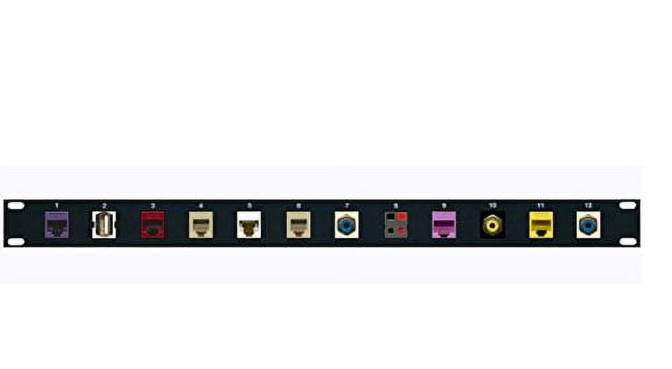 RiteAV Speaker RCA 2 Cat5e Cat6 White Purple Red 2 Phone USB Patch Panel