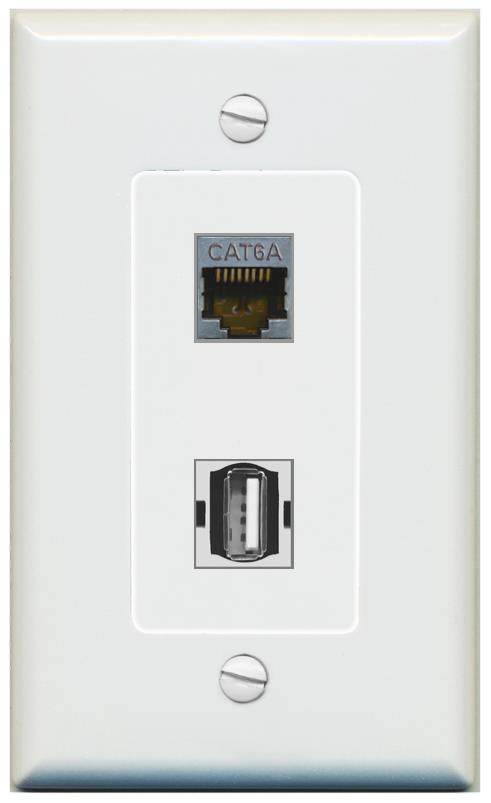 1 CAT6A 1 USB2 Wall Plate [Gray]