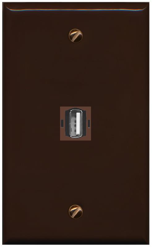 RiteAV -USB2 Wall Plate Flat/Solid [Brown]
