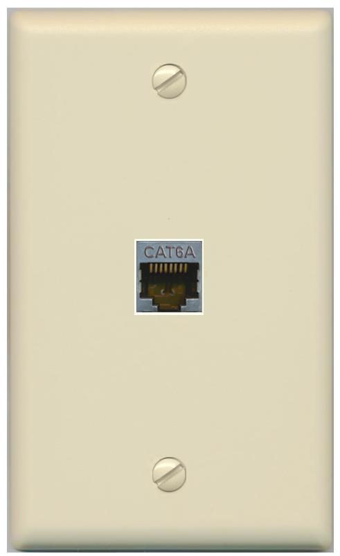 RiteAV -CAT6A Wall Plate Flat/Solid [Ivory]