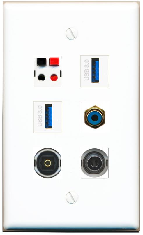  3.5mm RCA-BLUE SPEAKER TOSLINK 2 USB-3 Flat/Solid Wall Plate [White]