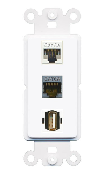 CAT5E CAT6A USB2 Wall Plate [White]