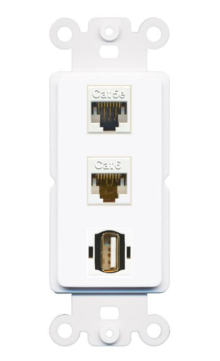 CAT5E CAT6 USB2 Wall Plate [White]