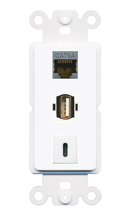 CAT6A USB2 USBC Wall Plate [White]