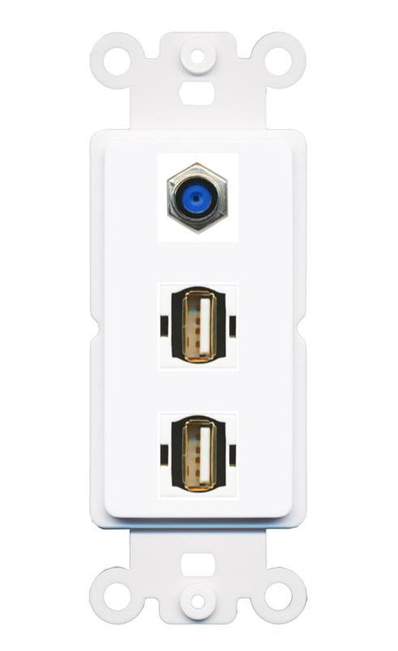 F81 2 USB2 Wall Plate [White]