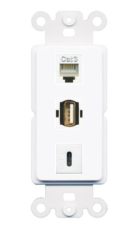 PHONE USB2 USBC Wall Plate [White]