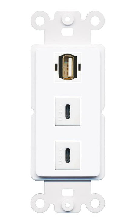 USB2 2 USBC Wall Plate [White]