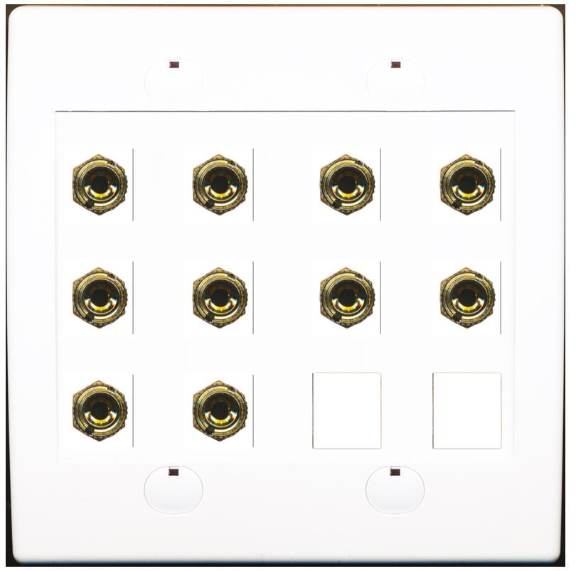 RiteAV 10 Banana 5 Speaker Surround 2 Gang Coupler Binding Post Wall Plate 