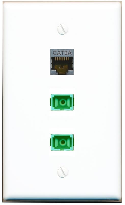 RiteAV - CAT6A 2 SC-APC Singlemode Simplex Wall Plate Flat White