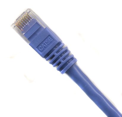 Ultra Spec Cables Pack of 25 - Purple 1FT Cat6 Ethernet Network Cable LAN Internet Patch Cord RJ45 Gigabit