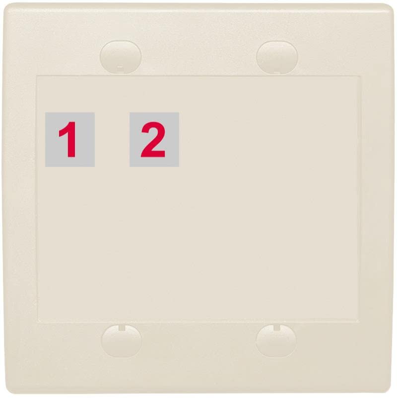 RiteAV Custom Wall Plate 2 Port - Flat 2 Gang [Light Almond]