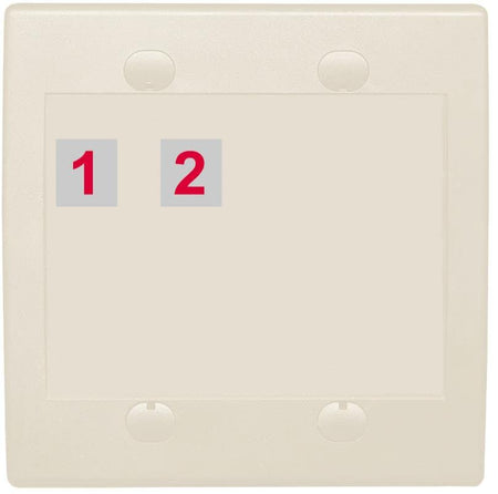 RiteAV Custom Wall Plate 2 Port - Flat 2 Gang [Light Almond]