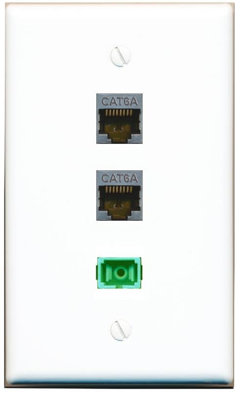 RiteAV - 2 CAT6A SC-APC Singlemode Simplex Wall Plate Flat White