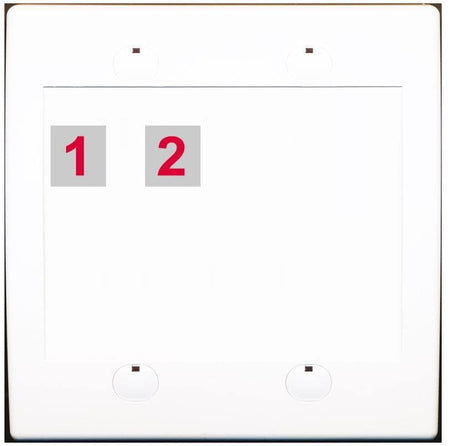 RiteAV Custom Wall Plate 2 Port - Flat 2 Gang [White/White]