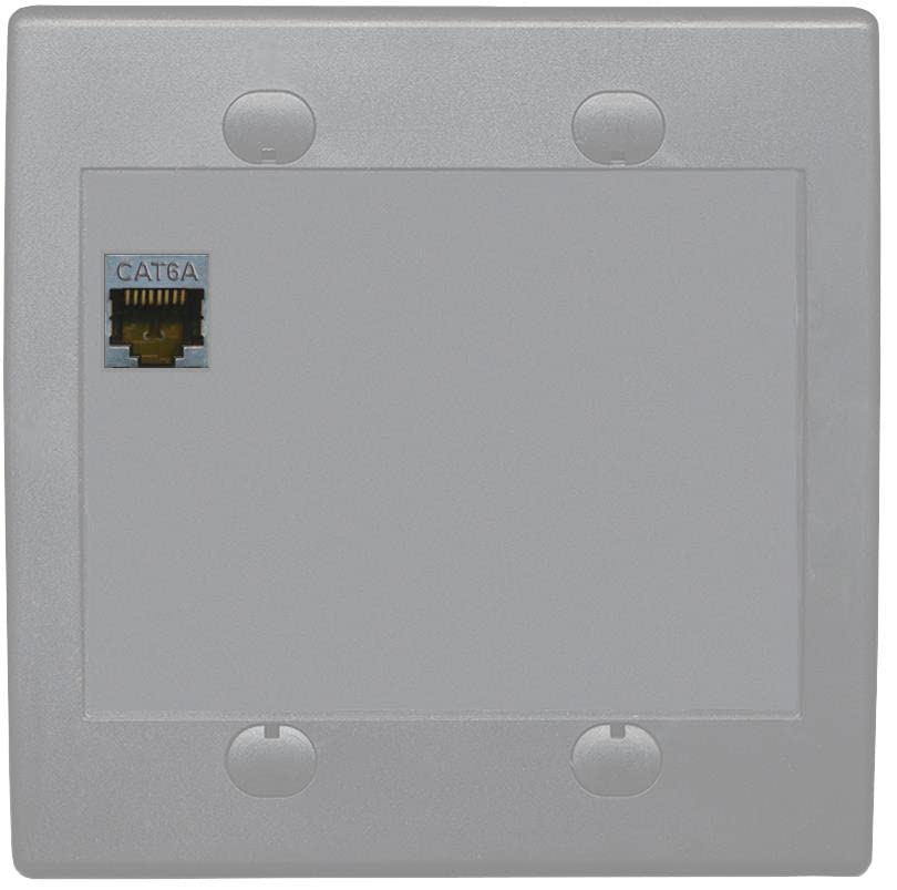 RiteAV 1 Port Cat6A Wall Plate - Flat 2 Gang [Gray/Gray]