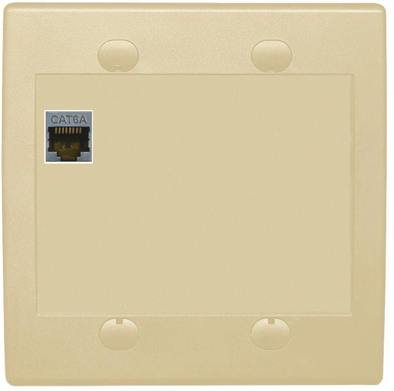RiteAV 1 Port Cat6A Wall Plate - Flat 2 Gang [Ivory/Ivory]