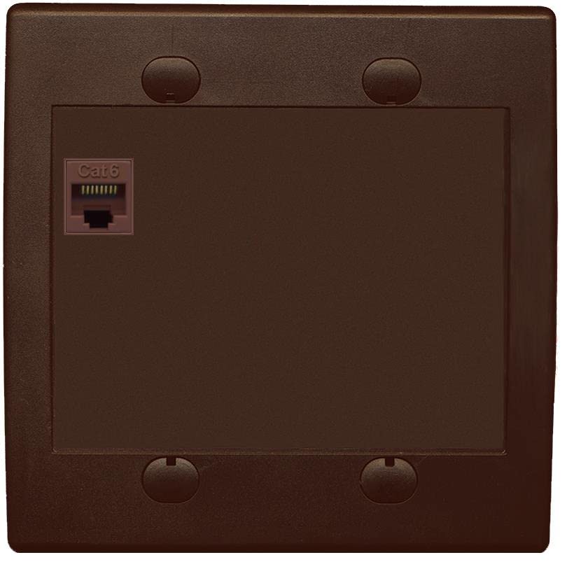 RiteAV 1 Port Cat6 Ethernet Wall Plate Female-Female - Flat 2 Gang [Brown/Brown]