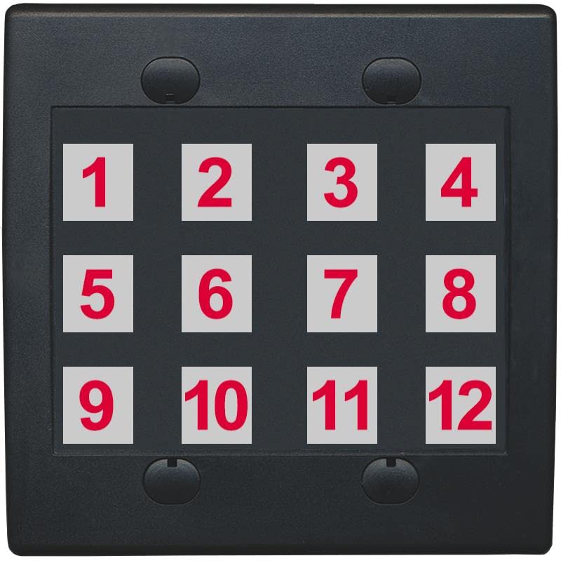 RiteAV - Custom Wall Plate 12 Port - 2 Gang Flat [Black/Black]