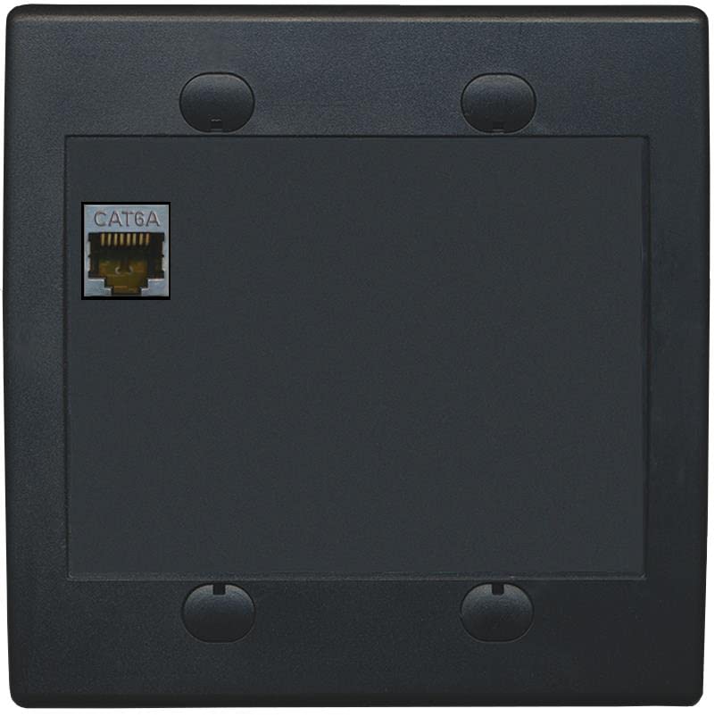 RiteAV 1 Port Cat6A Wall Plate - Flat 2 Gang [Black/Black]