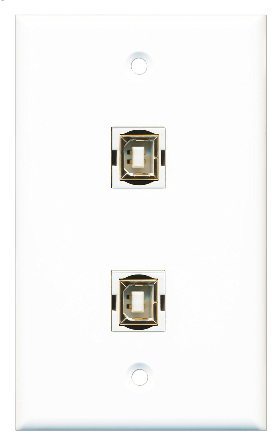 RiteAV - 2 Port USB B-B Wall Plate - Bracket Included