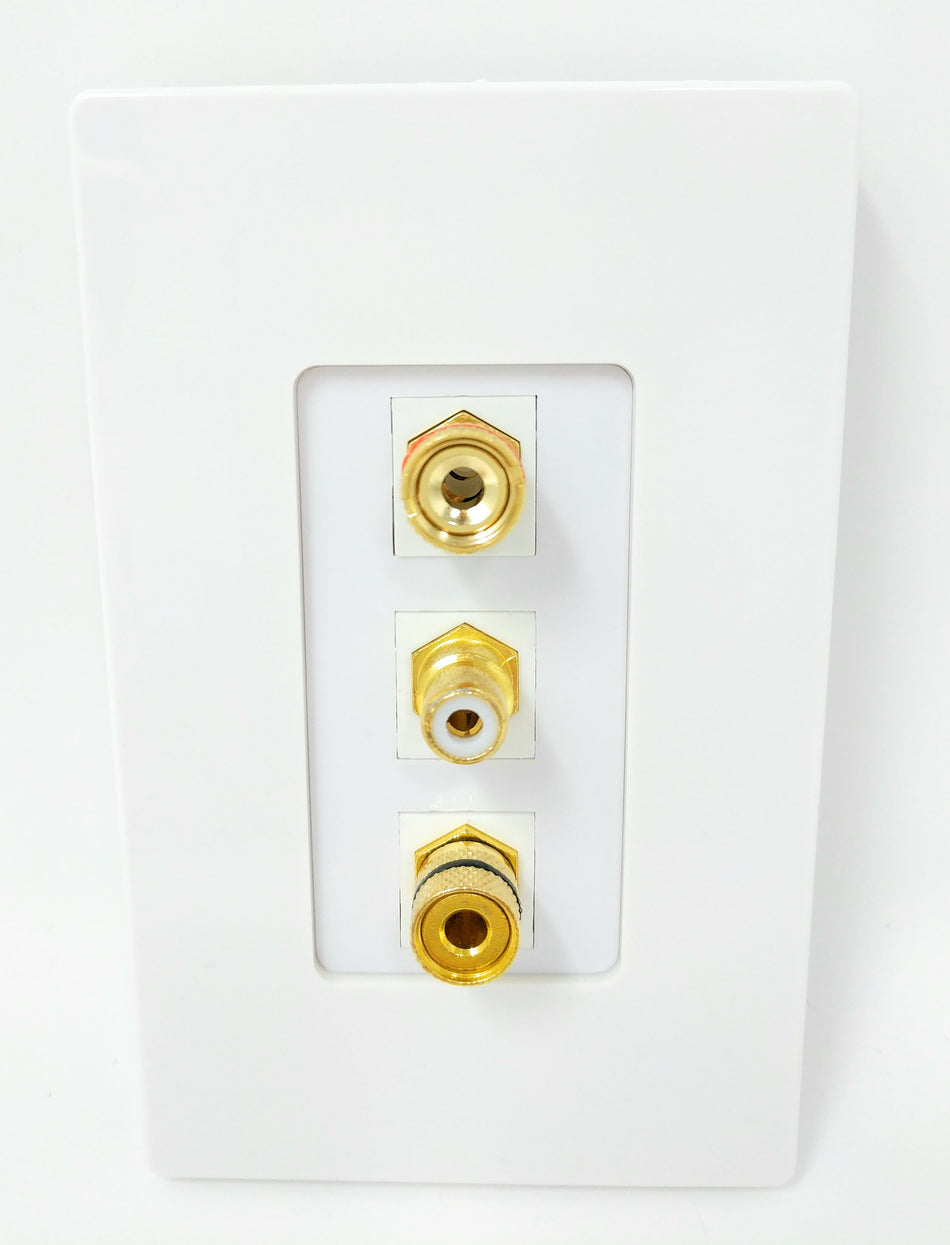 RiteAV - 1 Port RCA White 2 Port Banana Speaker Screwless Decorative Wall Plate