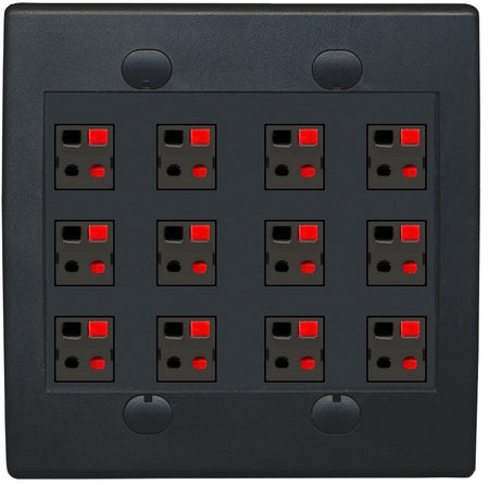 RiteAV 12 Port Speaker Jack Dual Gang Wall Plate for Home Theater - Flat Style 2 Gang [Black/Black]