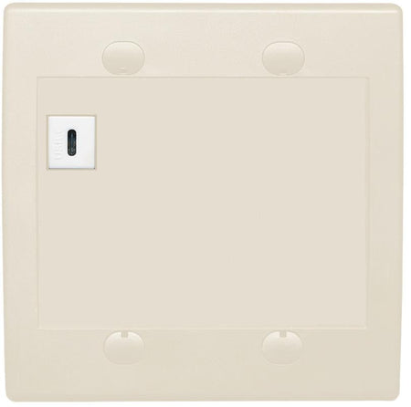 RiteAV USBC Wall Plate - Flat 2 Gang [Light Almond]