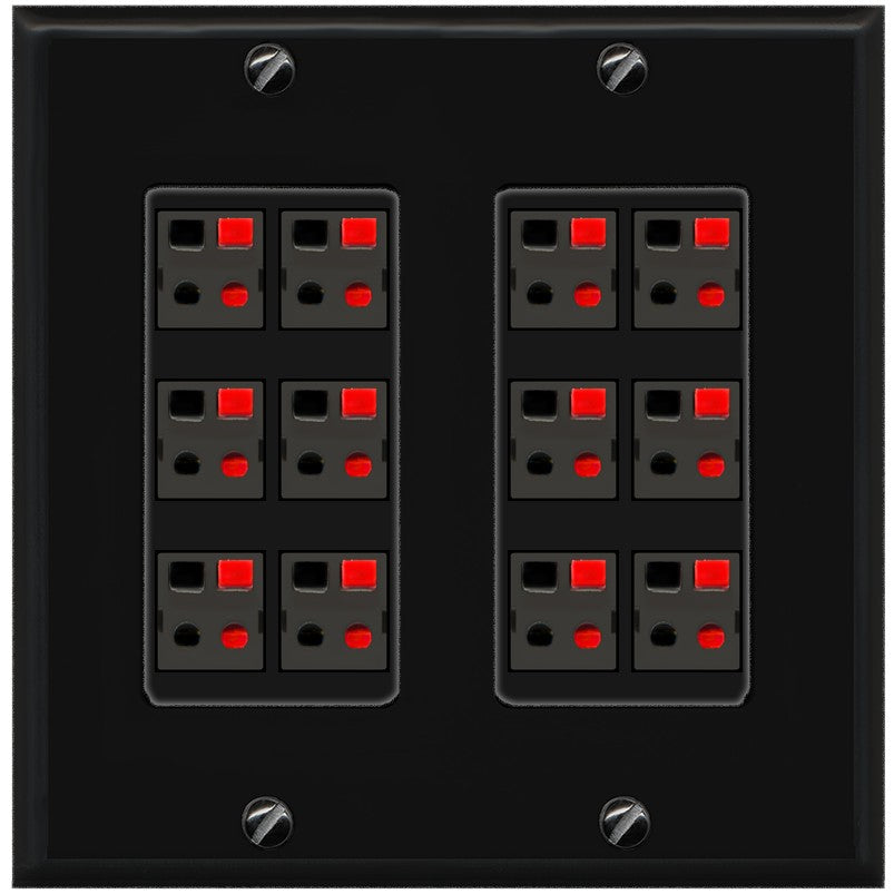 RiteAV 12.0 Surround Sound Speaker Cable Terminal Wire Wall Plate for Home Theater - 2 Gang [Black/Black]
