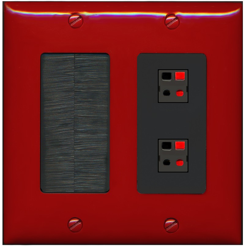 RiteAV 2 Port Speaker Wire Plug Jack Wall Plate - Brush [Red/Black]