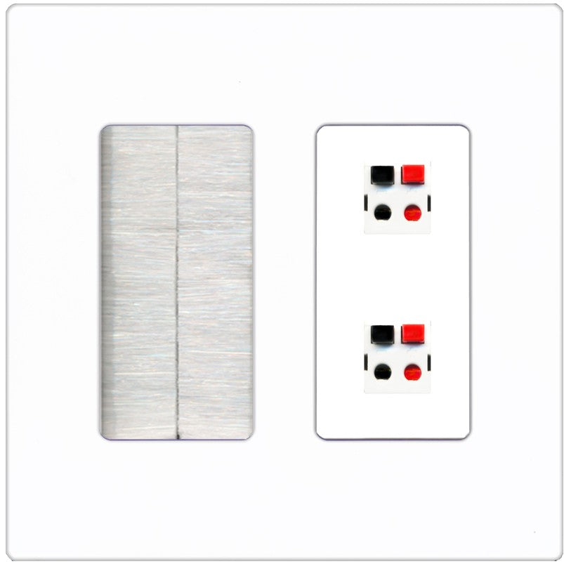 RiteAV 2 Port Speaker Wire Plug Jack Wall Plate - Brush [Screwless White]
