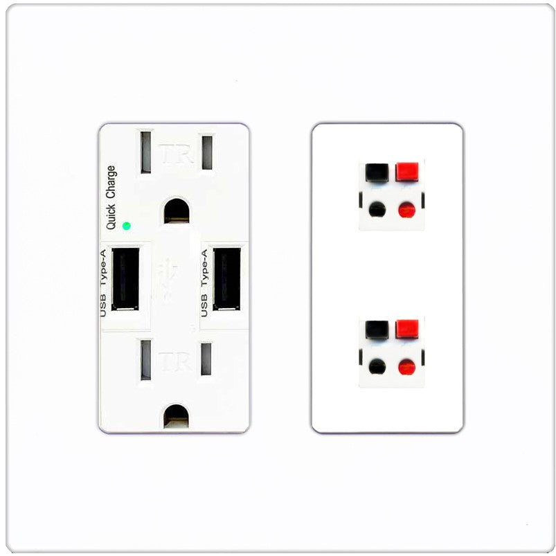 RiteAV 2 Port Speaker Wire Plug Jack Wall Plate - USB Outlet [Screwless White]