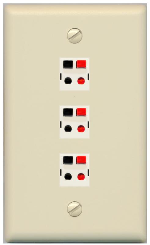 RiteAV 3 Port Speaker Wire Plug Jack Wall Plate - Flat [Ivory/Ivory]