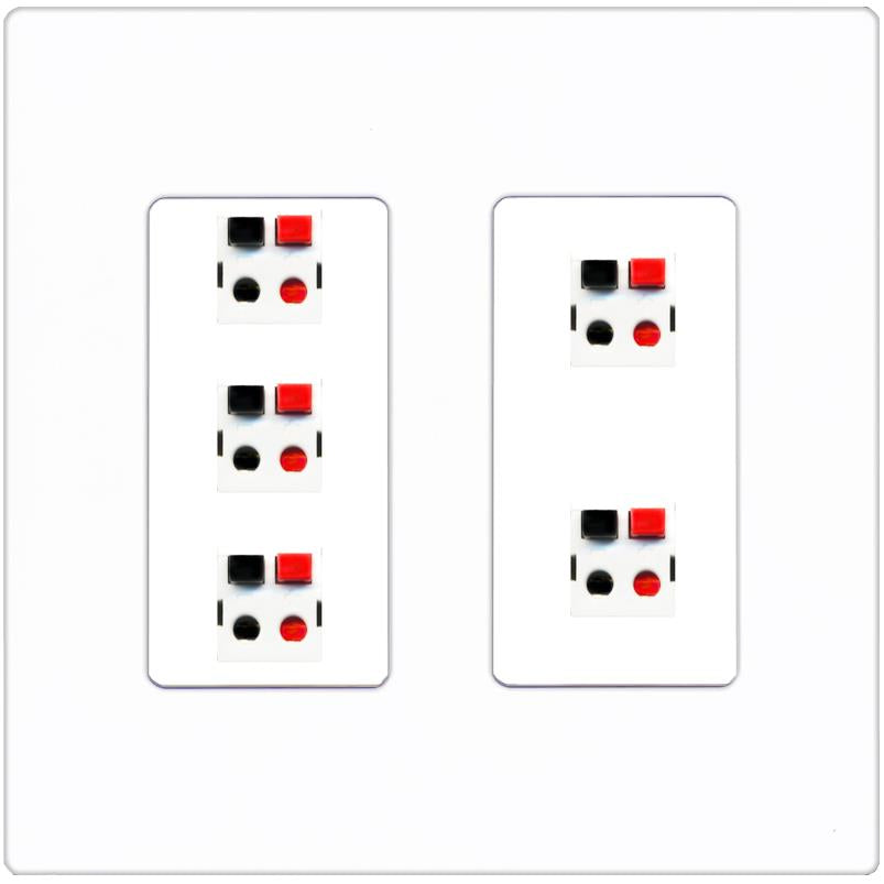 RiteAV 5 Port Speaker Wire Plug Jack Wall Plate - 2 Gang [Screwless White]
