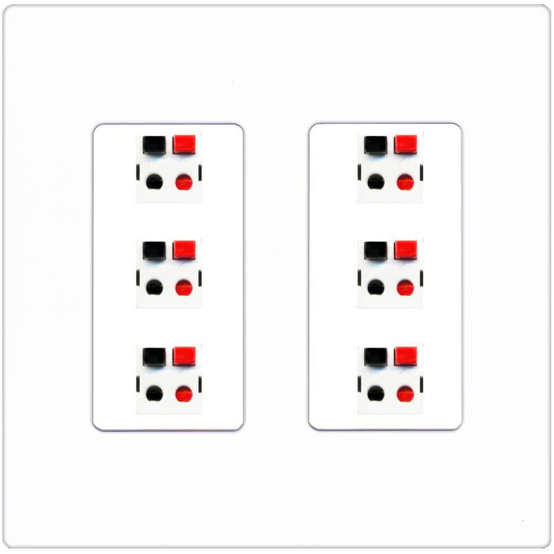 RiteAV 6 Port Speaker Wire Plug Jack Wall Plate - 2 Gang [Screwless White]