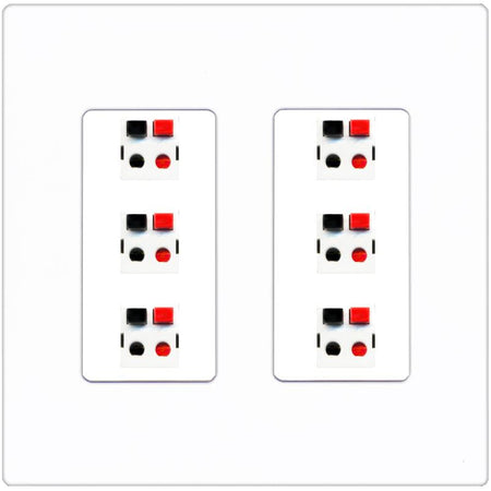 RiteAV 6 Port Speaker Wire Plug Jack Wall Plate - 2 Gang [Screwless White]
