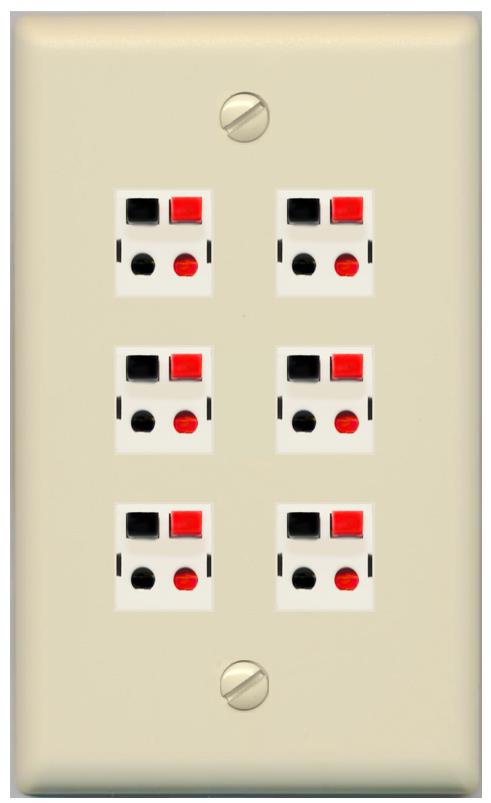 RiteAV 6 Port Speaker Wire Plug Jack Wall Plate - Flat [Ivory/Ivory]