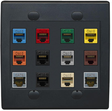 RiteAV Cat6 Colors Wall Plate 12 Port - Flat 2 Gang [Black/Black]