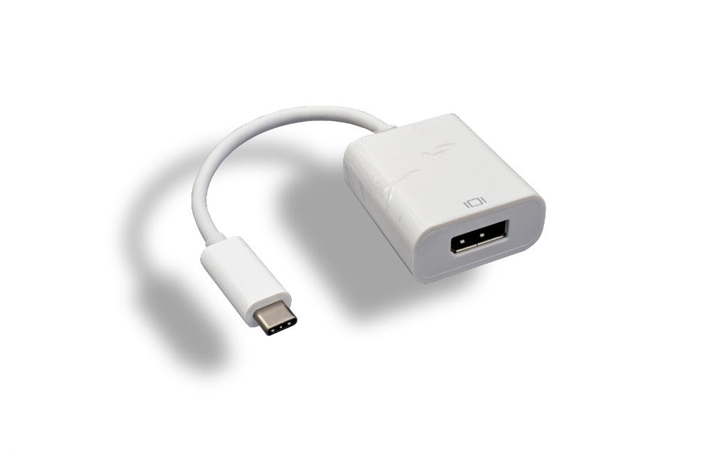 RiteAV USB 3.1 Type C Male to DisplayPort Female Adapter [2 PACK]
