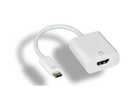 RiteAV USB 3.1 Type C Male to HDMI Female Adapter [10 PACK]