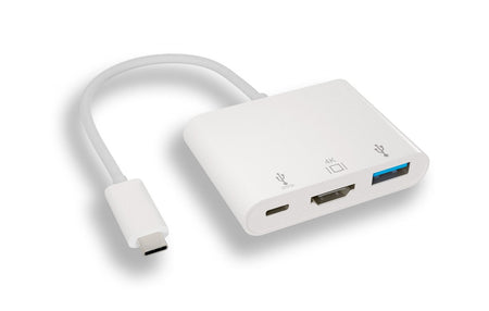 RiteAV USB3.1 Type-C Male To USB3.0/F+HDMI/F+Type-C/F 3-in-1 Splitter Adapter, USB PD 100W [2 PACK]