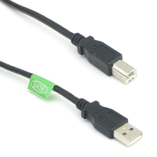 RiteAV - USB 2.0 Cable A-B 1 ft.