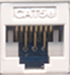 Cat5e Punchdown Keystone - White