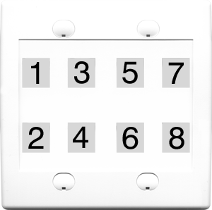 Custom 2 Gang White Wall Plate with 8 Keystone Ports